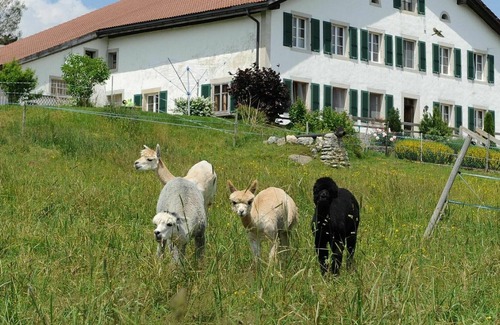 Muriaux Apartment | Beautiful apartment for 4 guests with WIFI, balcony, pets allowed and parking