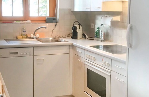Schmitten Apartment | Beautiful apartment for 4 people with WIFI, TV, balcony and parking