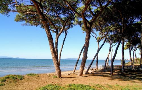 Piombino Apartment | Beautiful Apartment In Piombino