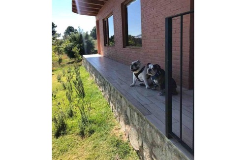 Tapalpa Cabin | Beautiful Cabin for couples