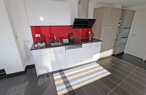 Brione sopra Minusio Apartment | Beautiful duplex apartment with stunning panoramic views in two-family house