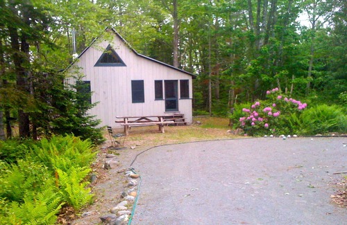 Lamoine Beach Cottage | Beautiful cottage in the woods, quiet, close to beach and State Park
