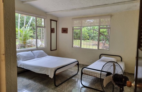 Armero Other | Beautiful Farm in a lush nature