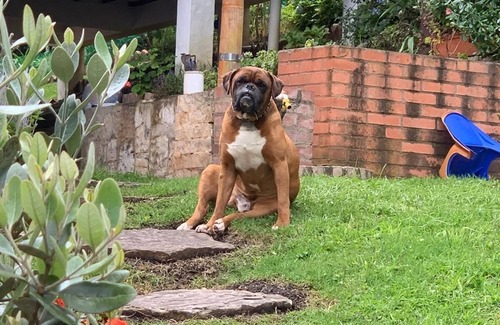 Sesquile Cottage | Beautiful finca for 12 very near to Laguna de Guatavita