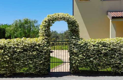 Caulonia Apartment | Beautiful Garden Apartment in Private Beachfront Development