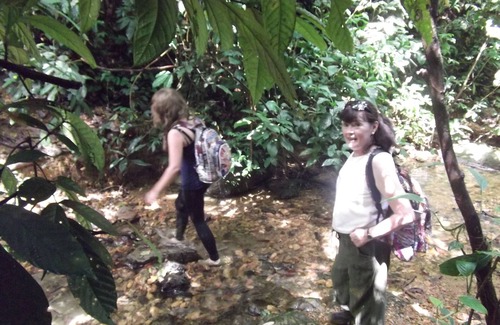 Bohorok House | Beautiful getaway in Bukit lawang (Recommended for Solo travellers)