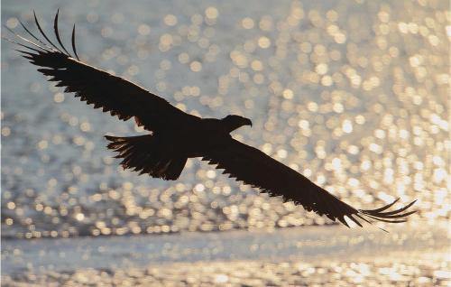 Vega House | Beautiful Home In Vega With Wifi