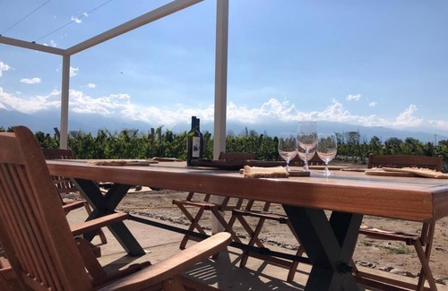 Tunuyan House | Beautiful House and amazing private winery