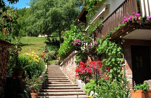 Eschbach-au-Val Apartment | Beautiful house in Alsace (in the Valley of Munster)