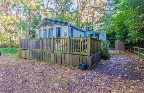Weybourne House | Beautiful lodge at Kelling Heath in Norfolk ref 25183KH