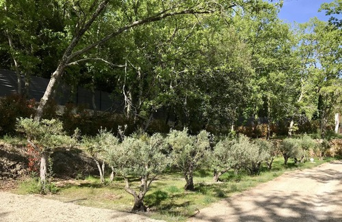 Montauroux House | Beautiful lodges with private beach