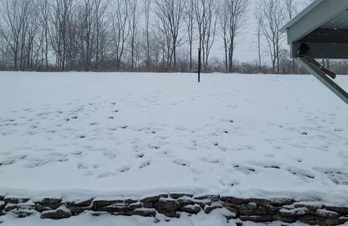 State College House | Beautiful Ranch Style Open Concept House less than 5-Miles to PSU