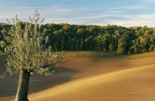 Castelnau-Barbarens House | Beautiful spacious gite in the Gers with private lake