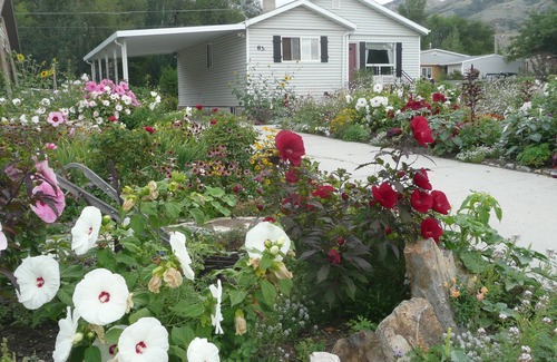 Brigham City House | Beautiful small Garden Surrounding This Little Home. Clean and Comfortable.