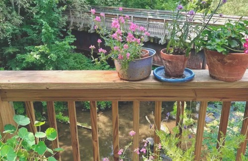 West Pawlet Apartment | Beautiful, sunny retreat high over river and rail trail