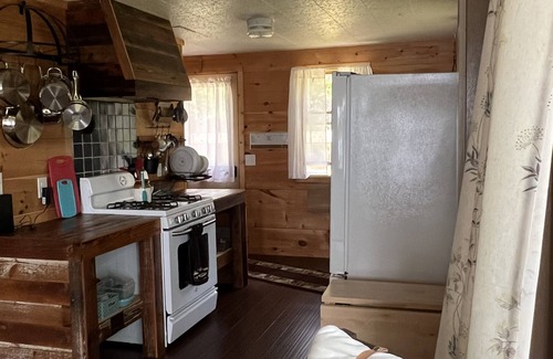 Sayner Cabin | Beautiful Two Bedroom cabin on Plum Lake