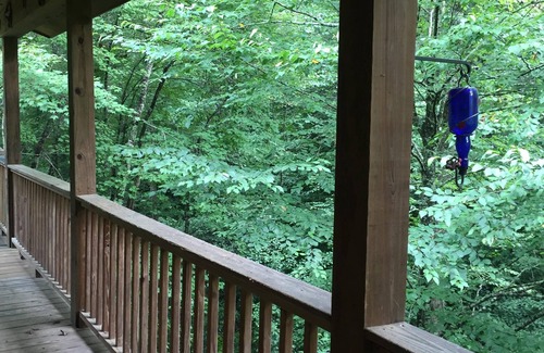 Tarheel Cabin | Beautiful upscale mountain trip