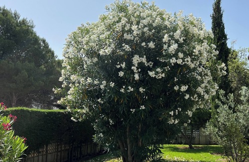 Cabo Roche House | Beautiful villa right on the pool - tennis, grill