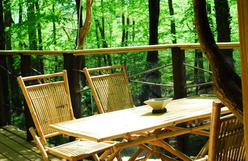Salles-en-Toulon House | Beauty Park - Capucins family cabins 5 people