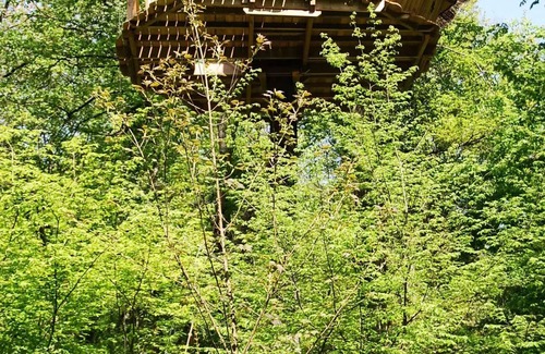 Salles-en-Toulon House | Beauty Park - Gibbons Hut 2 people
