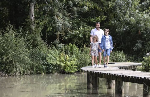 Salles-en-Toulon House | Beauty Park - Squirrel Cabin 4 people