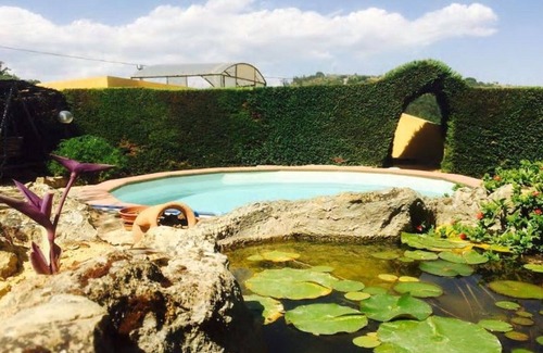 Piazza Armerina Bed & Breakfast | Bed and breakfast Agave 64
