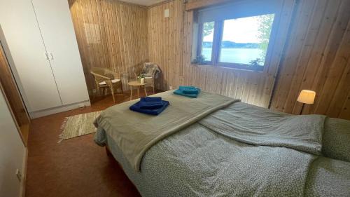 Dyry Bed & Breakfast | Bed and Breakfast Nordic Horn