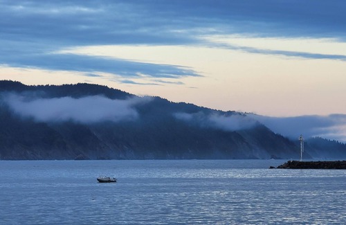 Crescent City Bed & Breakfast | Bed and Breakfast amongst the trees and forest