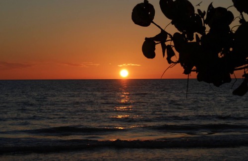 Aspendale House | Bed & Breakfast by the sea