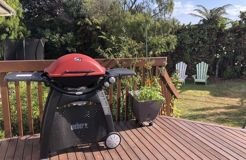 Taupo House | Beech Tree Cottage - comfortable, warm and stylish Taupo base, free wifi!