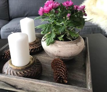 Beitostolen Apartment | Beitotind sentralt på Beitostølen