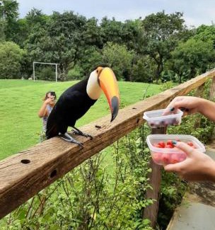 Boituva House | Belíssima Chácara de Alto Padrão em Boituva