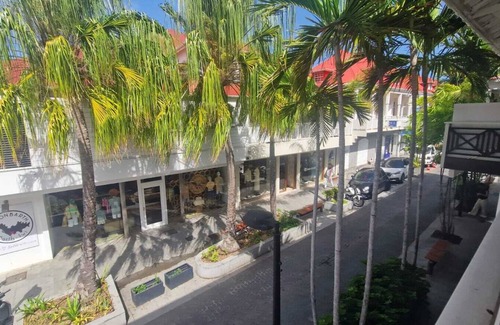 Corossol Apartment | Bel Appartement Centre de Gustavia
