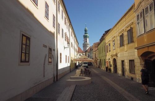 Sopron Apartment | Belvárosi Erdész-lak Sopron