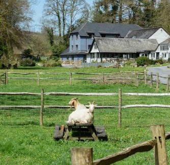 Dartmeet Apartment | Bench Tor Apartment