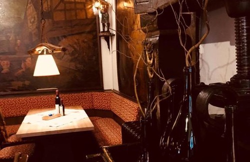 Mainz-Bingen Hotel | Berg´s Backpacker