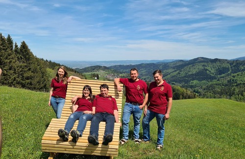 Horben Apartment | Bergblick, Typ C, 75 qm, DG, Max. 4 Pers