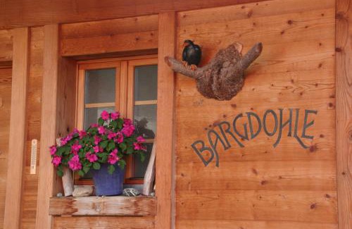 Adelboden Apartment | Bergdohle
