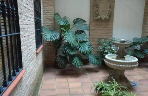 Jaen Apartment | Bernardo López con opción a parking