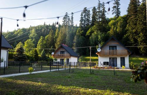 Rycerka Gorna House | Beskid Loft House - domki w górach