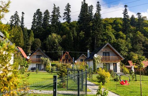 Rycerka Gorna House | Beskid Loft House - domki w górach