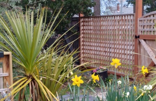 Esquimalt House | Best Little House in West Bay, Monthly Stays