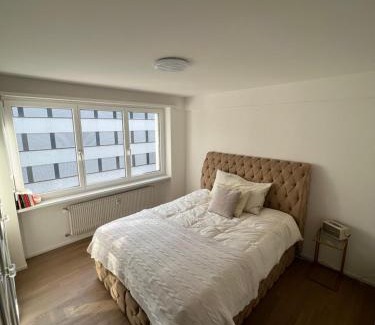 Gundeldingen Apartment | Best located & fully equipped apartment at Basel SBB main station