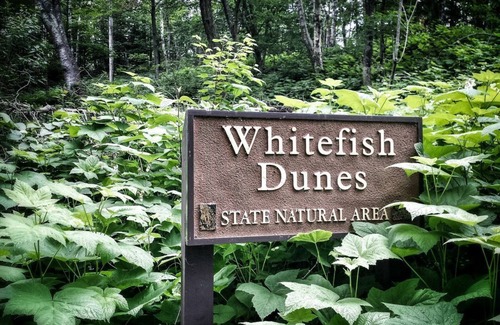 Sturgeon Bay House | BEST LOCATION borders Whitefish Dunes St Park with the Best Sand Beach!