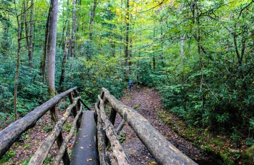 Dandridge House | BEST VIEWS LAKE FRONT Waters Edge