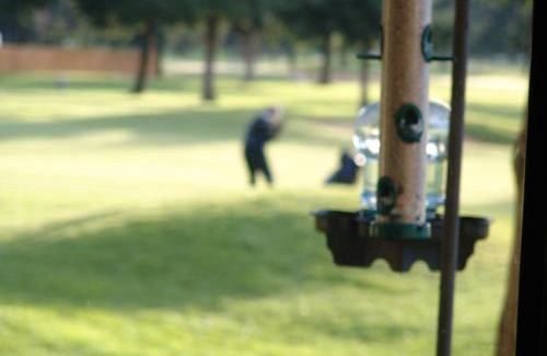 Kent Hotel | Best Western Plus Plaza by the Green