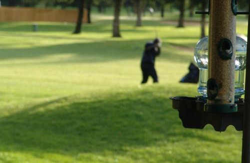 Kent Hotel | Best Western Plus Plaza by the Green