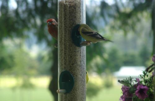 Kent Hotel | Best Western Plus Plaza by the Green