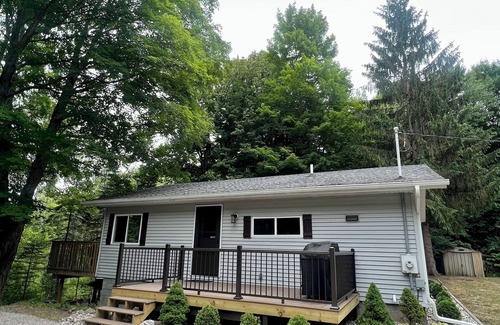 Thompsonville Cabin | Betsie River Cabin - minutes from Crystal Mountain, Hot Tub, Canoe, Wi-Fi