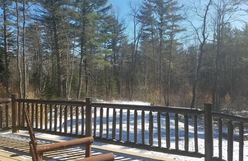 Saranac Lake House | Betsy's Wildlife Retreat